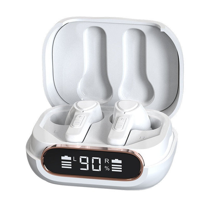 Digital hearing aids