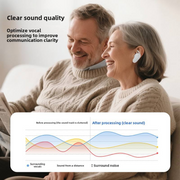 TS616D Binaural Hearing Aid with Intelligent Noise Cancellation, Digital In-Ear 16-Channel, App-Based Intelligent Fitting, and Behind-the-Ear Sound Amplifier for Seniors